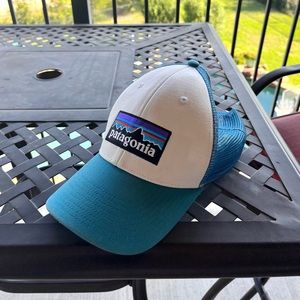 Patagonia trucker hat